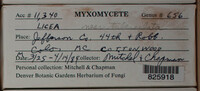 Image Associated With the Occurence